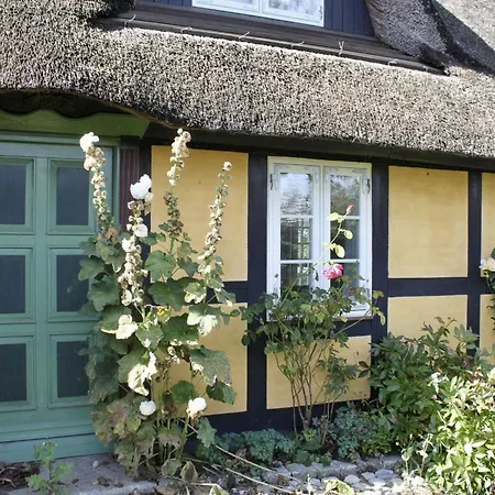 Feriehus Reetdach-ferienhaus-mit-traumhaftem-panoramameerblick *